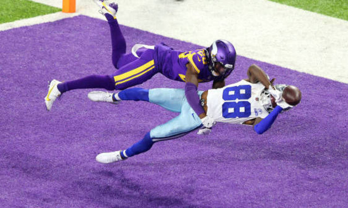 lamb vikes